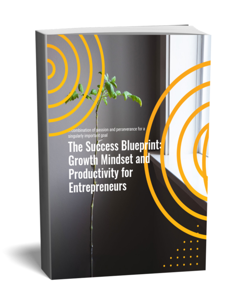 The Success Blueprint: Growth Mindset and Productivity for Entrepreneurs