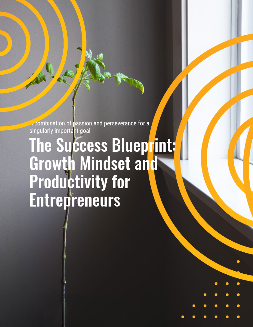 The Success Blueprint: Growth Mindset and Productivity for Entrepreneurs